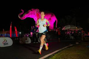 BIB: 
                            <button type="button" onclick="openModal(26544227)" class="btn btn-primary btn-sm float-right btn-popup" data-toggle="modal" data-target=".modal-high-quality">
                        <i class="fas fa-shopping-cart"></i> Add to Cart
                    </button>
                                            <button type="button" onclick="isThisMe(26544227, true)" class="btn btn-success btn-sm float-right btn-popup btn-isme hidden" data-toggle="tooltip" data-placement="bottom" title="นี่คือรูปของคุณใช่ไหม คลิกที่นี่เพื่อเอาเข้าอัลบั้ม">
                        <i class="fas fa-plus"></i> Add to album
                    </button>
                    <button type="button" onclick="isThisMe(26544227, false)" class="btn btn-warning btn-sm float-right btn-popup btn-isnotme hidden">
                        <i class="fas fa-ban"></i> Remove from album
                    </button>